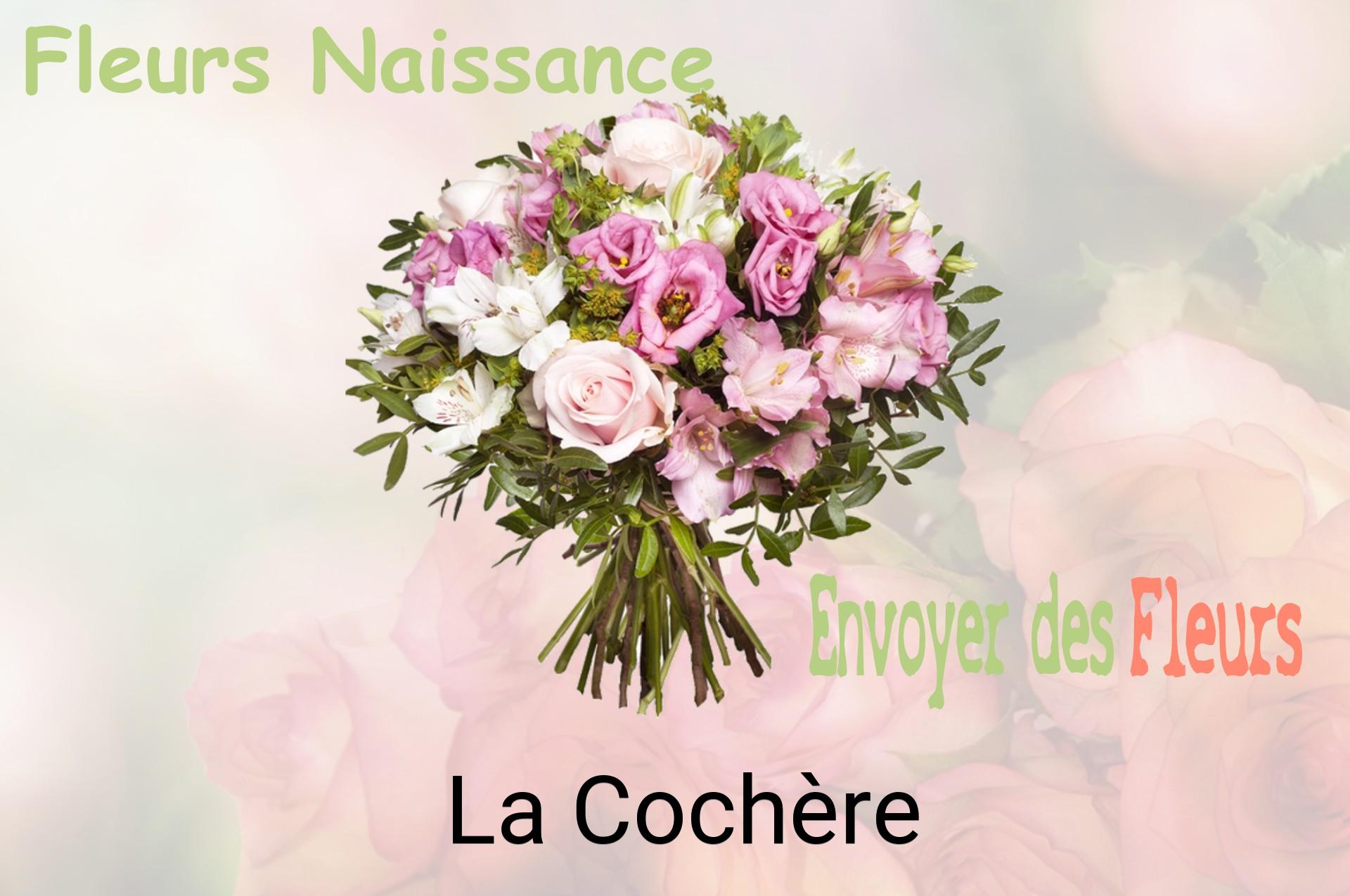 Bouquet de fleurs de naissance livré à La Cochère