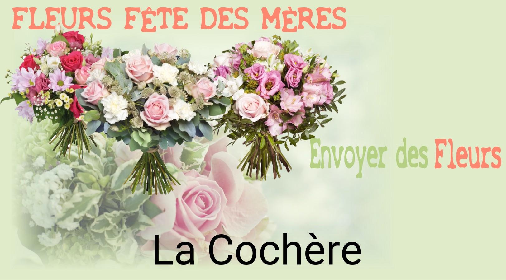 Bouquet de Fête des Mères livré à La Cochère